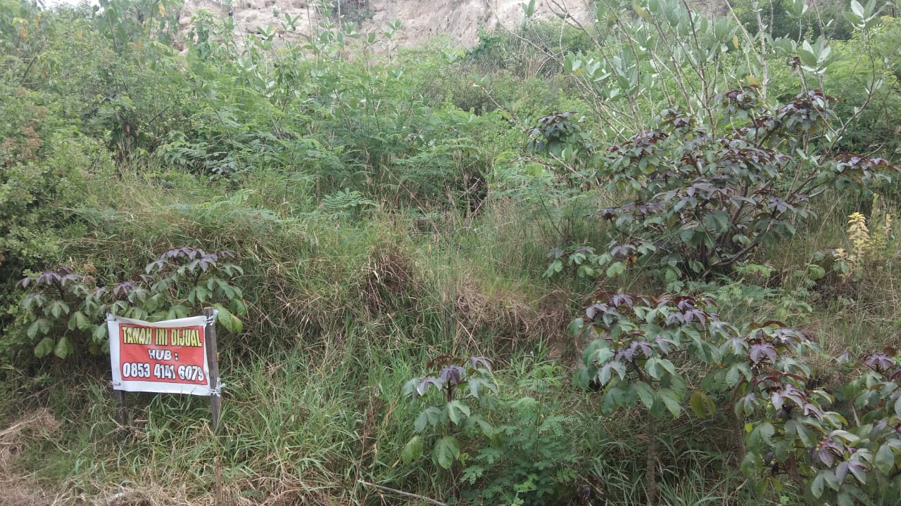 Dijual Cepat Tanah Strategis Daerah Talise Kota Palu Sulawesi Tengah